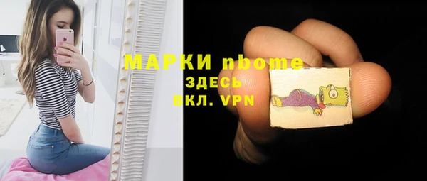 шишки Нея