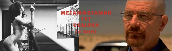 шишки Нея
