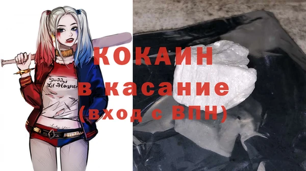 шишки Нея