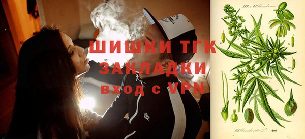 шишки Нея