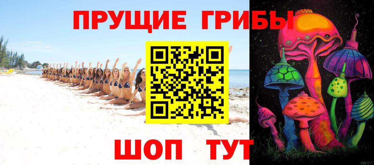 Псилоцибиновые грибы Psilocybine cubensis Курганинск