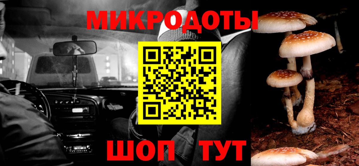 Курганинск  Псилоцибиновые грибы прущие грибы  где можно купить   Галлюциногенные грибы мицелий  Вход с VPN 